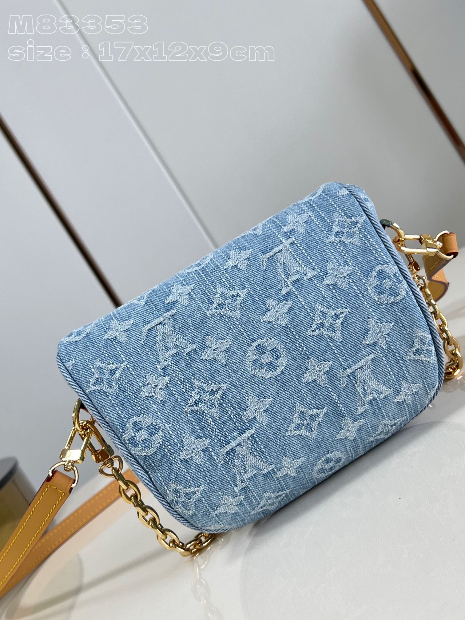 LOUIS VUITTON 2410LV010 