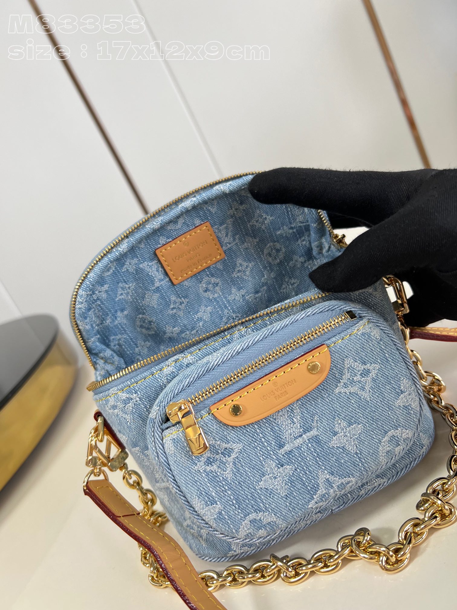 LOUIS VUITTON 2410LV010 