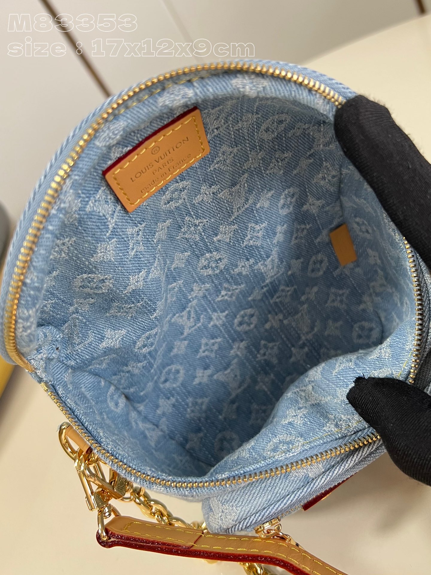 LOUIS VUITTON 2410LV010 