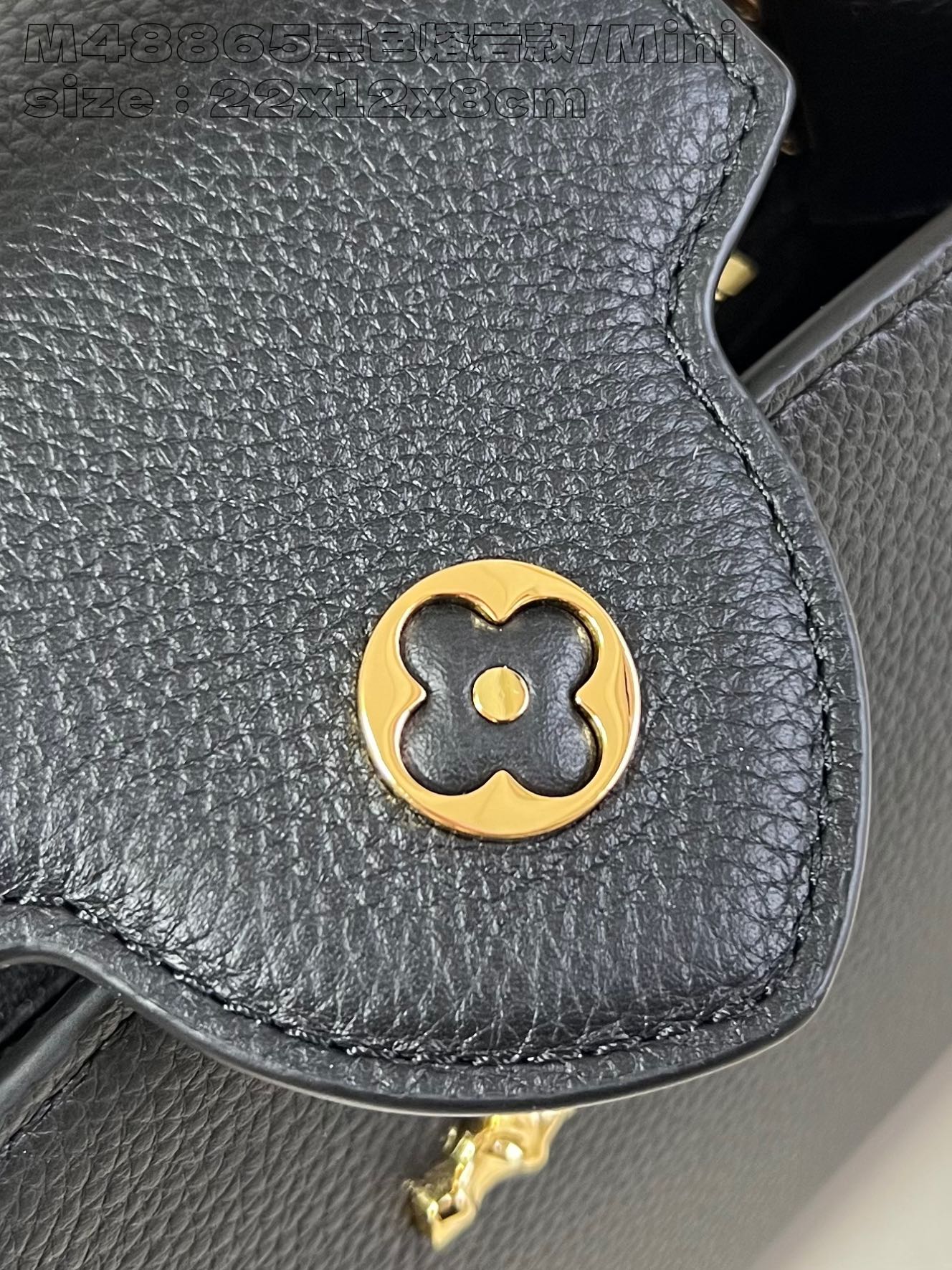 LOUIS VUITTON 2410LV076 