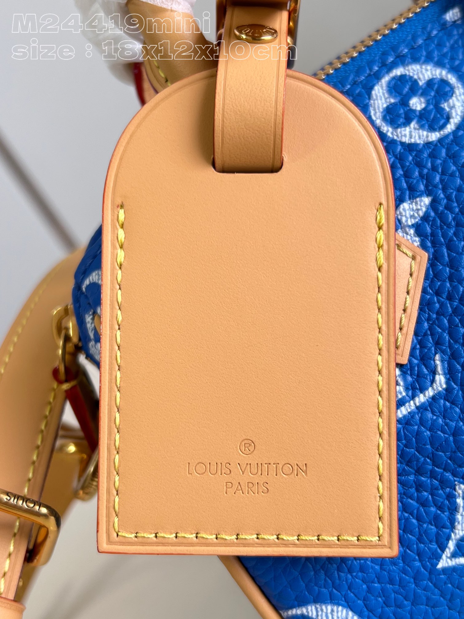 LOUIS VUITTON 2410LV089 