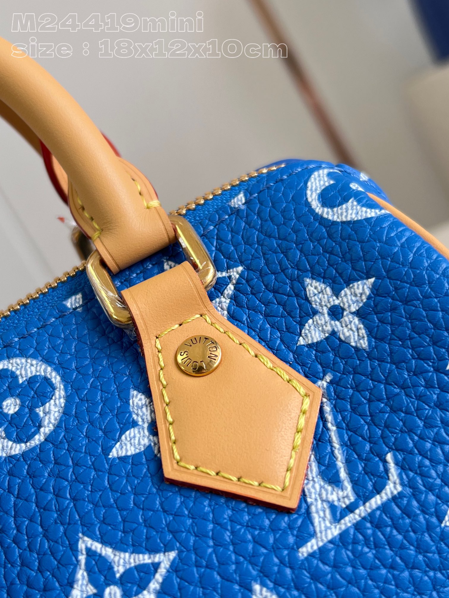 LOUIS VUITTON 2410LV089 