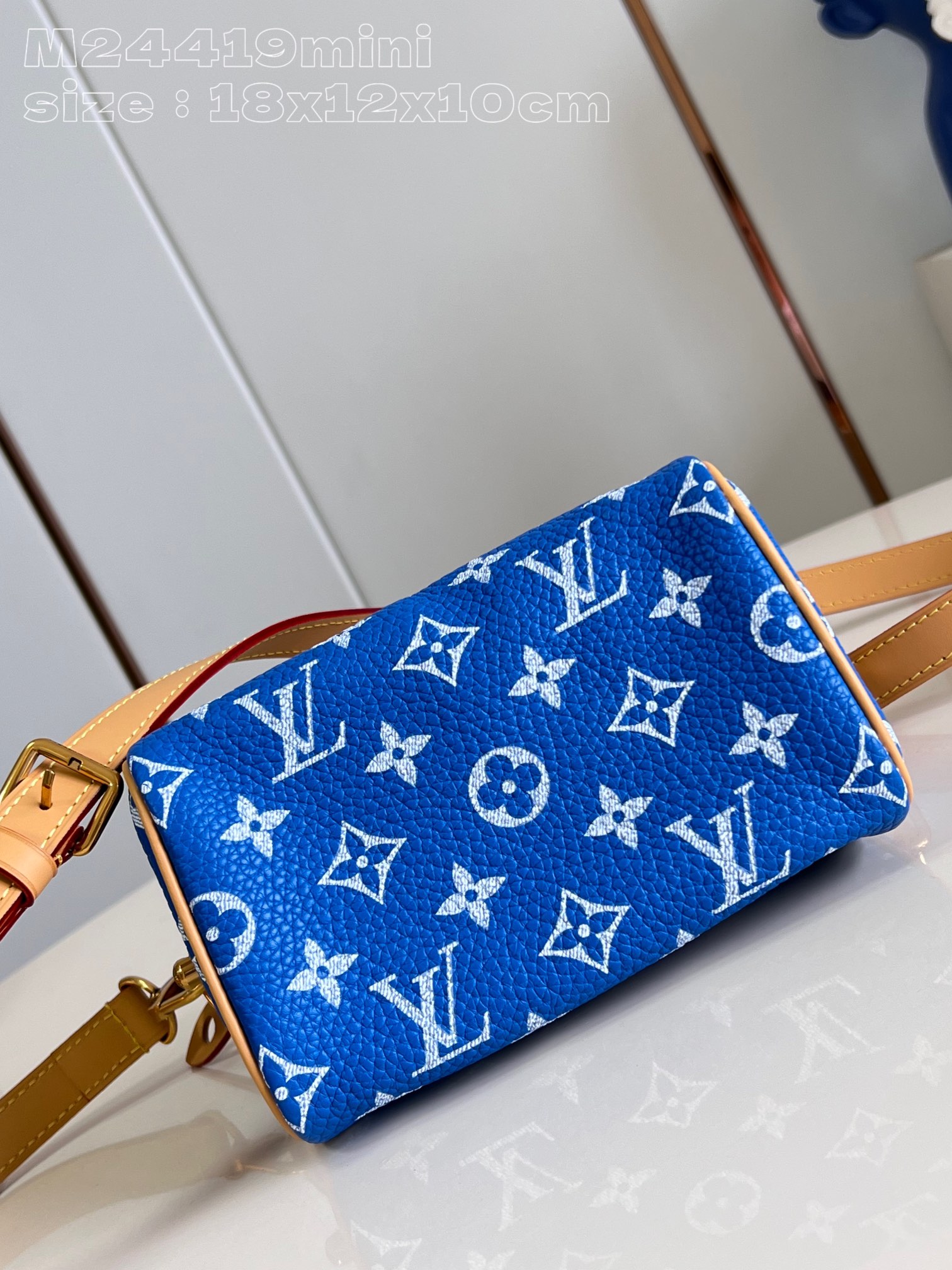 LOUIS VUITTON 2410LV089 