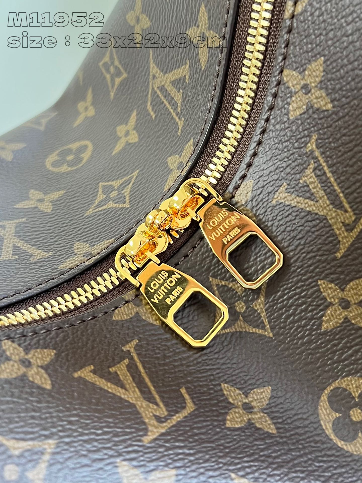 LOUIS VUITTON M11952 Slouchy PM