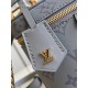 LOUIS VUITTON M12427 Vanity Chain Pouch