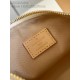 LOUIS VUITTON M12433 Hills Pochette