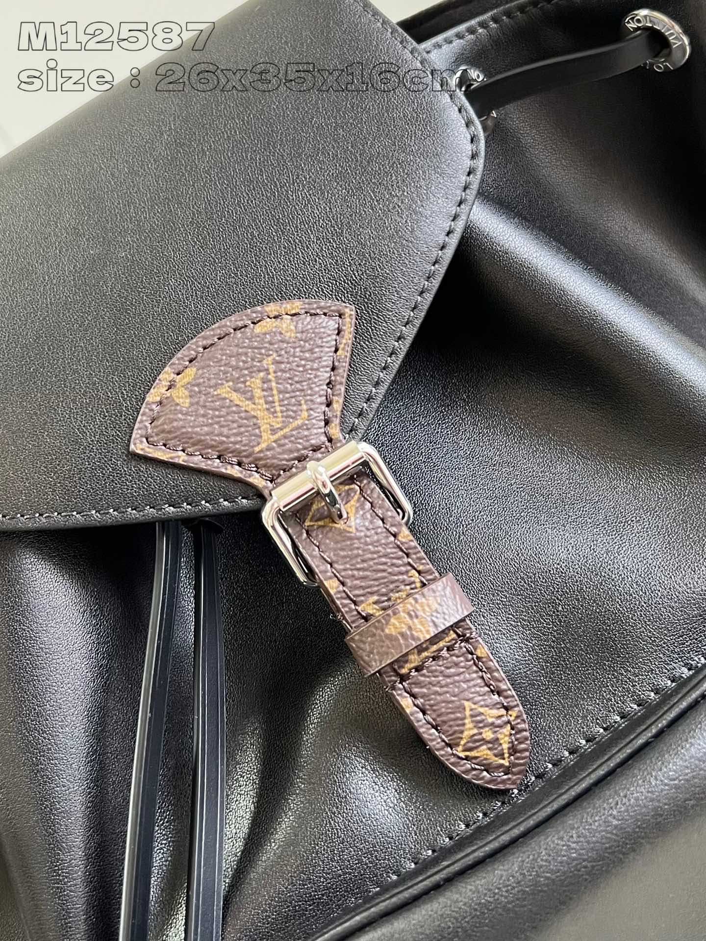 LOUIS VUITTON M12587 Montsouris PM