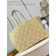 LOUIS VUITTON M25008 Summer Shopper Tote MM