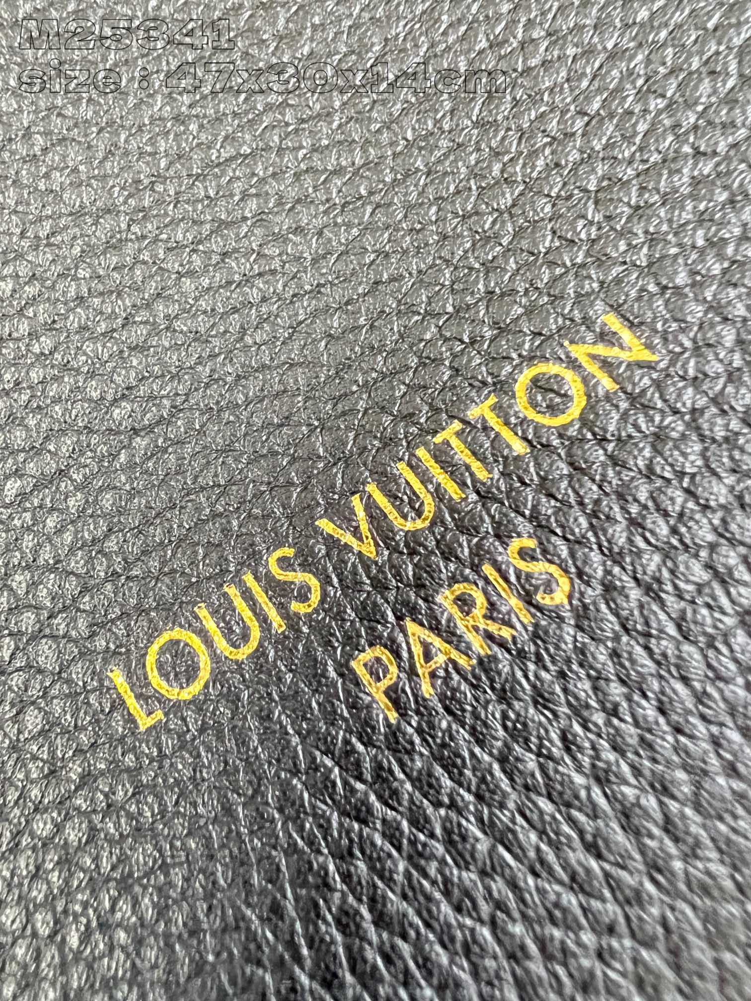 LOUIS VUITTON M25341 Low Key Cabas MM