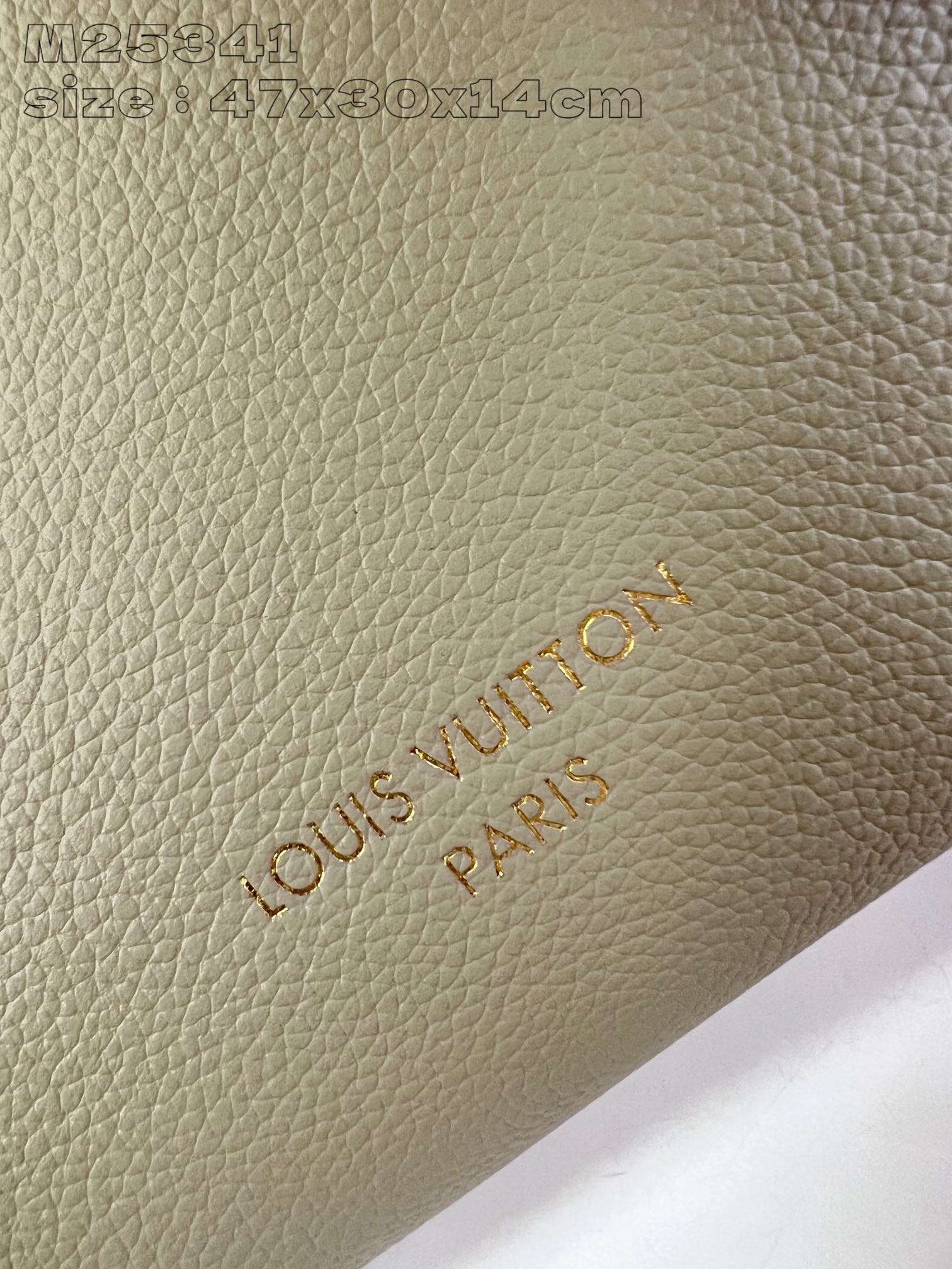 LOUIS VUITTON M25343 Low Key Cabas MM