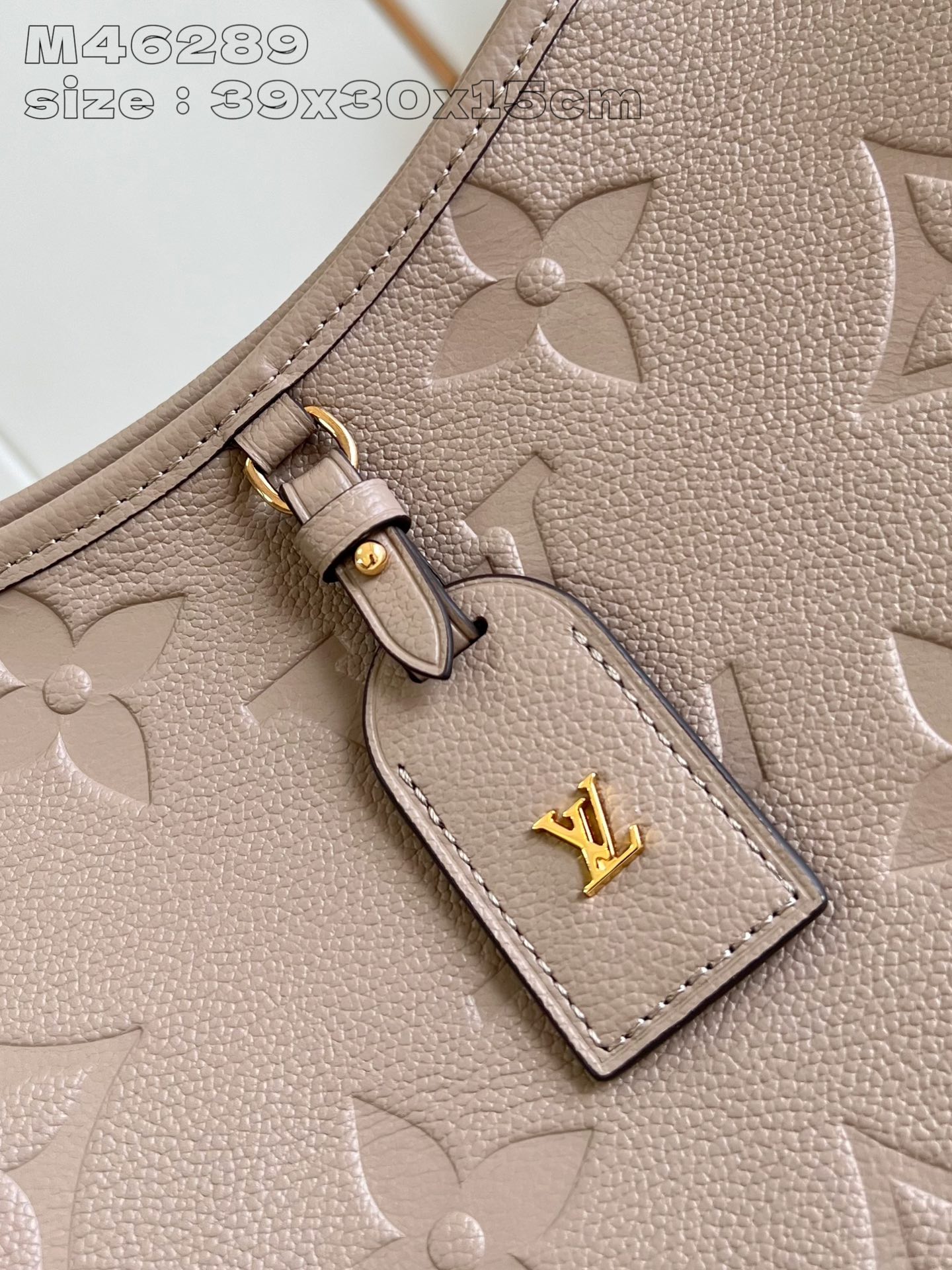 LOUIS VUITTON M46292 CarryAll MM