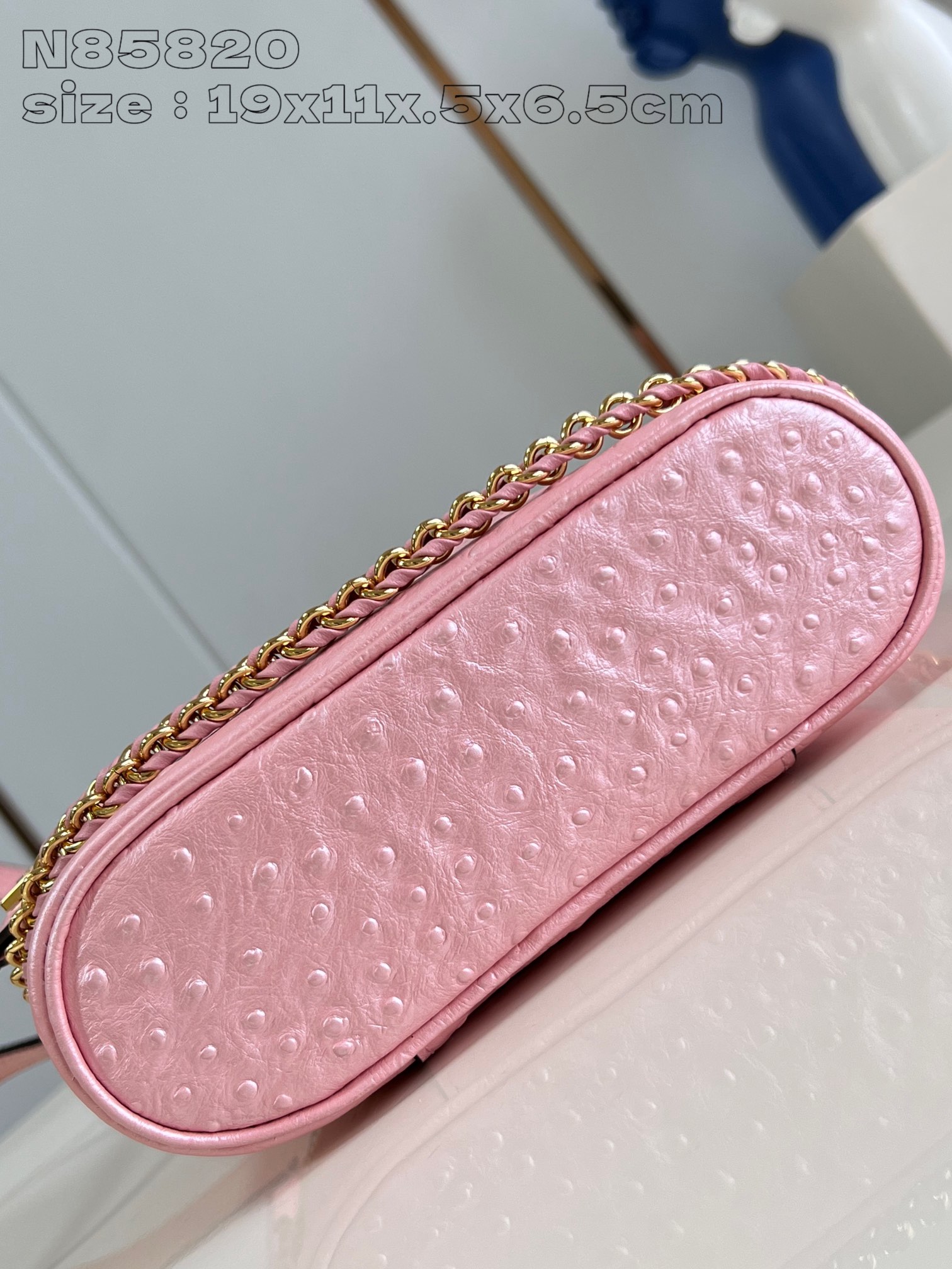 LOUIS VUITTON N85820 Vanity Chain Pouch