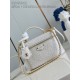 LOUIS VUITTON N85911 Vanity Chain Pouch