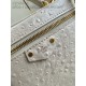 LOUIS VUITTON N85911 Vanity Chain Pouch