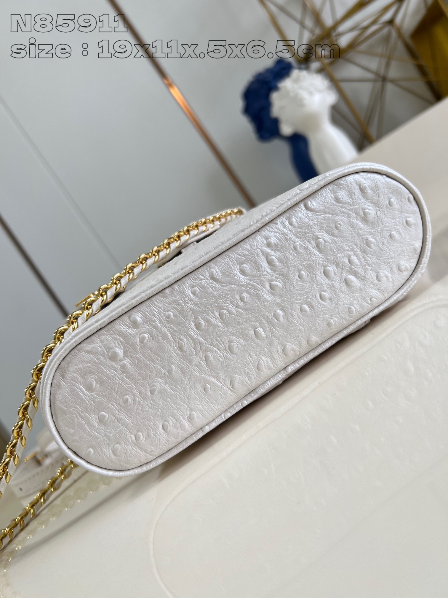 LOUIS VUITTON N85911 Vanity Chain Pouch